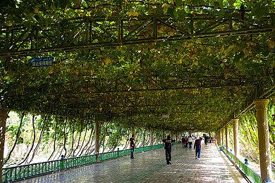 高山上建房子！新作《峰顶王国》上架Steam